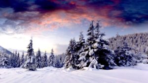 Top winter scene wallpaper for desktop Download