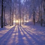 Top winter scene wallpaper for desktop HD Download