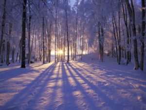 Top winter scene wallpaper for desktop HD Download