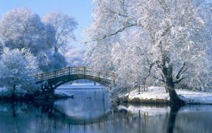 Top winter scene wallpaper for desktop 4k Download