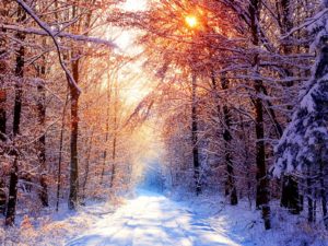 Top winter screen wallpaper 4k Download