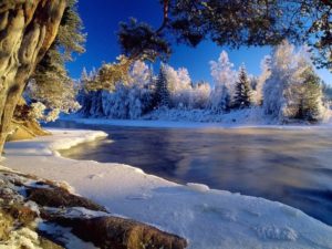 Download winter screen wallpaper HD