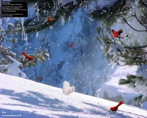 Download winter screen wallpaper HD