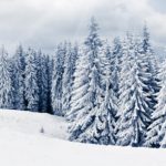 Download winter screen wallpaper HD