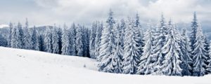 Download winter screen wallpaper HD