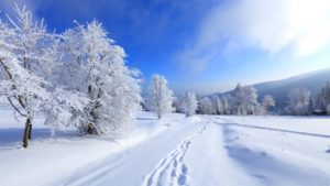 Download winter screen wallpaper HD