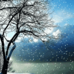 Top winter wallpaper free for android free Download