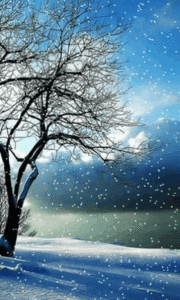 Top winter wallpaper free for android free Download