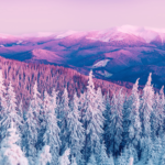 Top winter wallpaper free for android Download