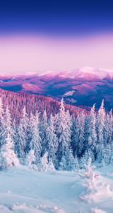 Top winter wallpaper free for android Download