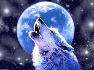 Download wolf howling wallpaper HD