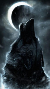 Top wolf howling wallpaper HD Download