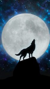 Top wolf howling wallpaper HD Download