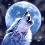 Download wolf howling wallpaper HD