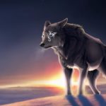 Top wolf howling wallpaper free Download
