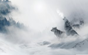 Top wolf howling wallpaper HD Download