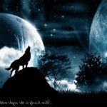 Top wolf howling wallpaper Download