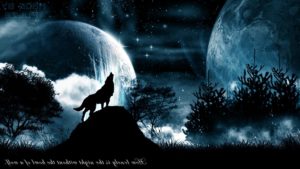 Top wolf howling wallpaper Download