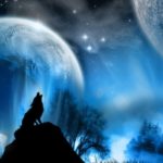 Top wolf howling wallpaper HD Download