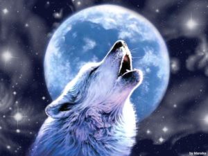 Download wolf howling wallpaper HD