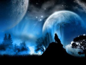 Top wolf howling wallpaper free Download