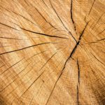 Top wood background pictures HD Download