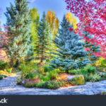 Top world beautiful nature wallpaper 4k Download