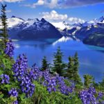Top world beautiful nature wallpaper HD Download