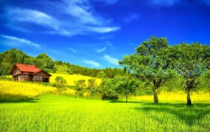 Top world beautiful nature wallpaper 4k Download