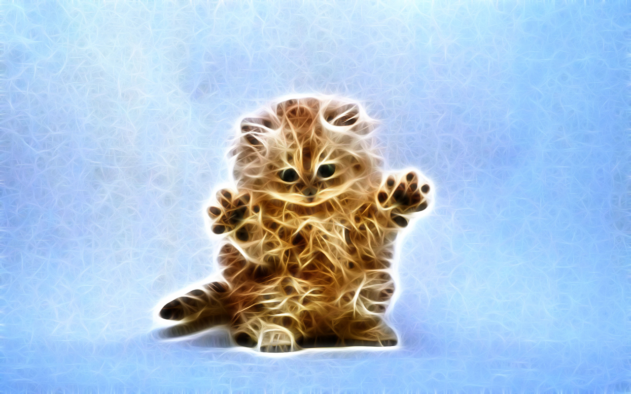 Download 3D Kitten Wallpaper Hd - Wallpapers Book - Your #1 Source For