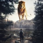 Top background lion photos Download