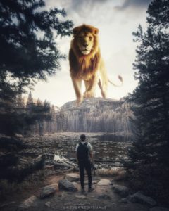 Top background lion photos Download