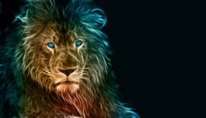 Download background lion photos HD