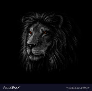 Download background lion photos HD