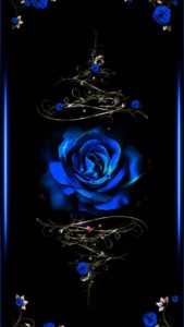 Download blue and black rose wallpaper HD