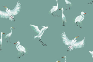 Top egret wallpaper Download