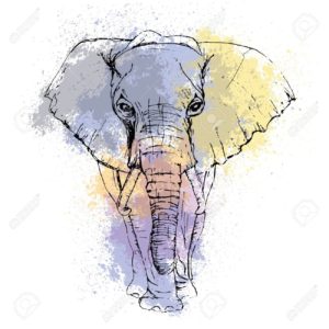 Top elephant background pictures HD Download