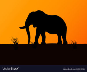 Top elephant background pictures HD Download