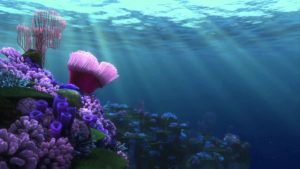 Top finding nemo wallpaper desktop HD Download