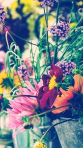 Top free spring iphone wallpaper 4k Download