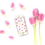 Download free spring iphone wallpaper HD