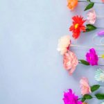 Download free spring iphone wallpaper HD