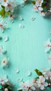 Download free spring iphone wallpaper HD