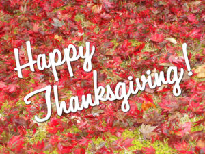 Download happy thanksgiving hd wallpapers HD