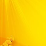 Top light yellow color wallpaper free Download