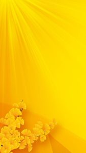 Top light yellow color wallpaper free Download