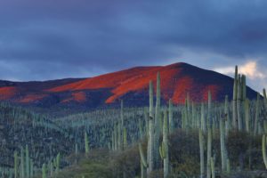 Top mexico scenery wallpaper 4k Download