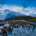 Top national geographic free wallpaper Download