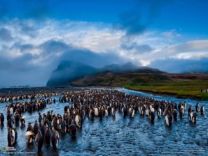 Top national geographic free wallpaper Download