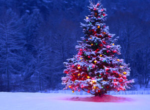 Top new christmas wallpapers free 4k Download